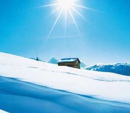 sunny magical winter